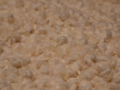 米糀　特別栽培米のササニシキで仕込みました　生糀　(500g)