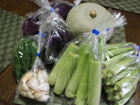 肌つや野菜セット（おまかせ３～５種類）栽培期間中は農薬不使用