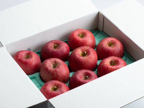 ＜2025年先行予約＞【りんご：華宝（かほう）】早生品種なのに超高クオリティーな希少りんご！12～6個程度（3kg程度）