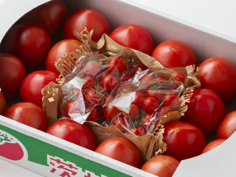 甘熟トマトの詰め合わせセット【大玉20個＆ミニ250ｇ×２】