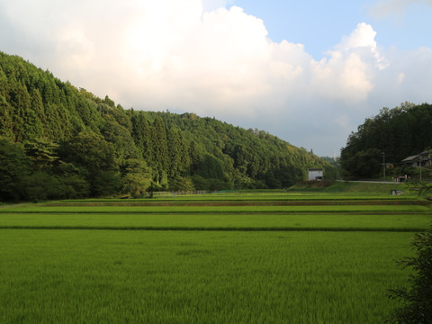 標高400ｍからの贈りもの 希少米峰旭 5㎏