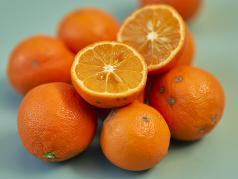 箱込約3㌔　媛レモン（姫レモン　赤レモン）