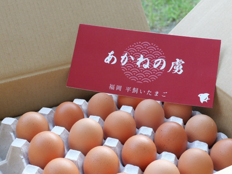 🎁【冬ギフト】🎁 冬のご挨拶に⛄️【あかねの虜】Lサイズ（40個入り） 28歳2児の母がプロデュースした話題の卵【お歳暮・お年賀など熨斗対応可能👌】※ご希望の場合は特記事項へご記入ください