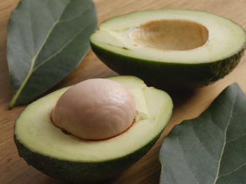 淡路島産！ビニールハウスで栽培し、なかなか市場には出荷されない貴重な国産アボカド。