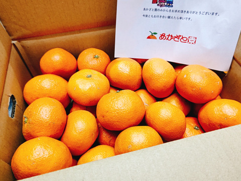 【🍊青島温州 B品 5kg 】外観は多少見劣りします。糖酸のバランスの取れたみかんです。年明けは北の産地が本命！