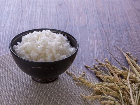【北海道から希少品種をお届け！】もっちりとした深い味わいのあるお米　令和5年産　北海道米　おぼろづき　白米　10kg