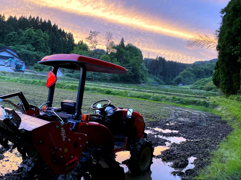 【2025年度産】［精米］自然栽培コシヒカリ5kg（富山県氷見産）