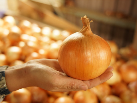 【定期便3ヶ月/淡路島玉ねぎ３kg】特別栽培　ひょうご安心ブランド認証取得の定期便