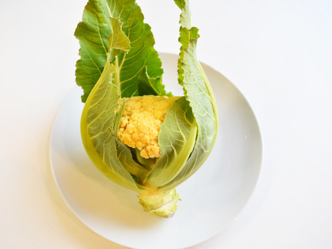 和らぎ農法　オレンジカリフラワー　大（1～3個）