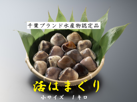 旨い‼️柔らかく、ふっくら
パスタにどーぞ♪お味噌汁も美味しいですよ(^^)
千葉県産地蛤　小サイズ1kg位入り
/17〜25個位入り