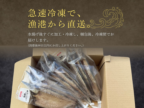 【海の精×天日干し】カマスの無添加干物（３枚入）