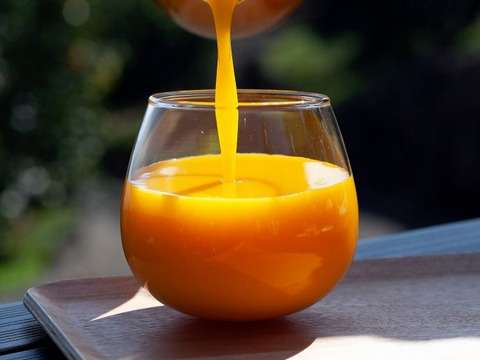 ナナイロの雫　7種類の柑橘達　100％ストレート　ジュース　2本（720ml）低農薬栽培　　九州　熊本　不知火産