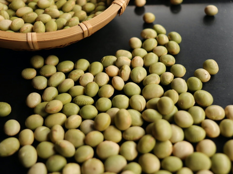 ◎自然栽培◎秘伝大豆5kg《令和6年・山形県鶴岡産》