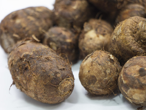 ヌメリの多く煮崩れしにくいサトイモ『石川早生』400g×3袋