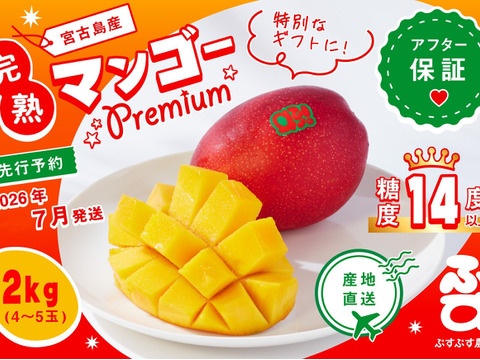 【2026夏ギフト】ぷすぷすプレミアムマンゴー2キロ（4～5玉）