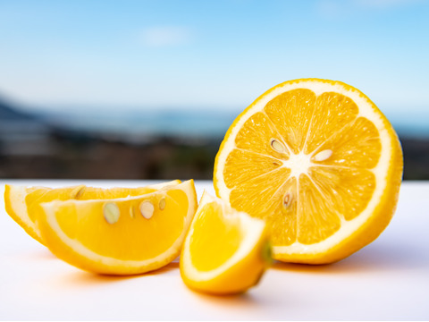 【お得なセット】おすすめ！リスボン＆マイヤーレモンの食べ比べセット　２キロ