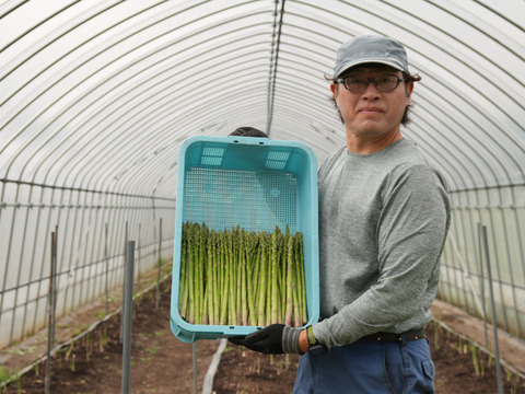 2026春芽！太くてあまーい北海道産アスパラ(2kg )【北海道伊達市ふるさと納税出品商品】