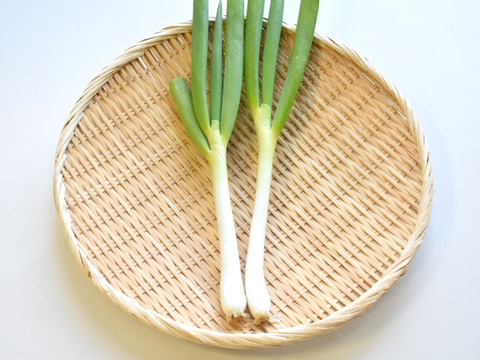 和らぎ農法　長ねぎ（1～2本）