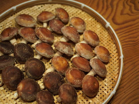 山育ち『原木椎茸』1kg