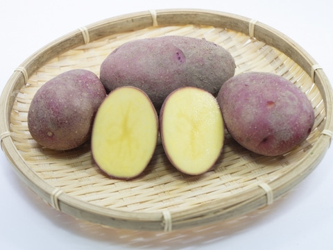 ホクホクした食感と栗のような甘み・アンデスレッド（合計5キロ）