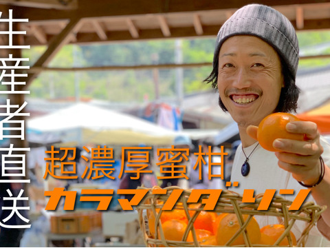 お試しサイズ！濃厚柑橘【カラマンダリン】(3kg)