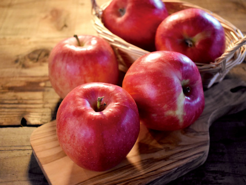 【甘酸っぱいりんご】約１０キロ 青森県産「樹上完熟葉とらずジョナゴールド」家庭用厳選品