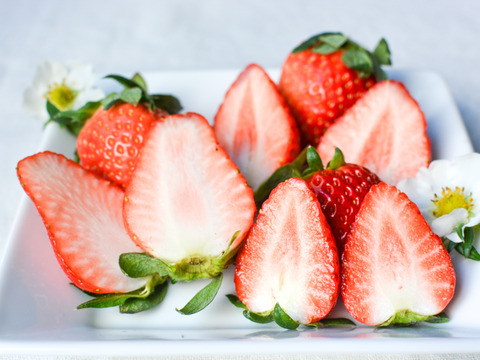 【朝摘み】じゅわっと甘い!群馬のいちご 完熟やよいひめDX2パック 収穫当日の新鮮ないちごをその日のうちに発送!じっくり時間をかけて熟した粒ぞろいの美味しいいちごです!