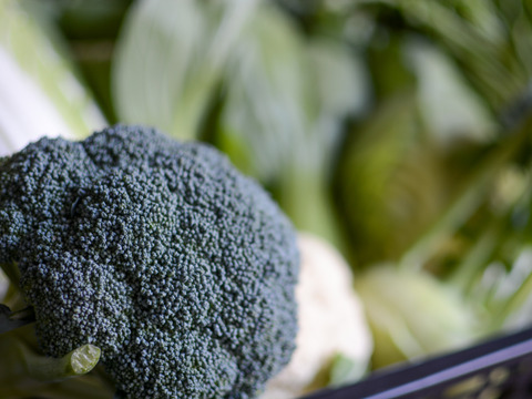 【旬の上州野菜】お試しサイズ（3~5品目）梱包まで丁寧に