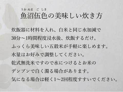 【R7年産】全素材魚沼産五穀米「魚沼伍色-うおぬまごしき-」300g×10個真空パックセット　無洗米