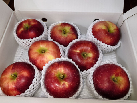 【りんご】唯一無二の福島県オリジナル品種！酸味一択！「べにこはく3ｋｇ」