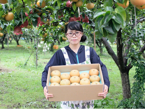 【特別栽培農産物】生産者一押し！とにかく甘い！和梨の南水5㎏