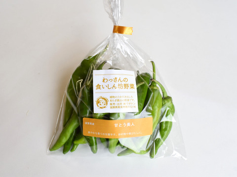 和らぎ農法　甘とう美人（1袋）