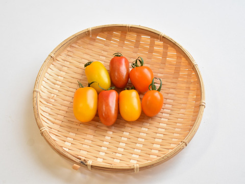 和らぎ農法　ミニトマト（1袋）