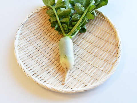 和らぎ農法　ビタミン大根（1～2本）