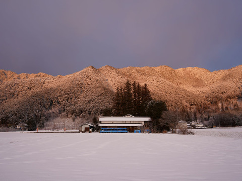 北アルプス山麓　自然栽培米　天日干し　朝日　玄米3㎏