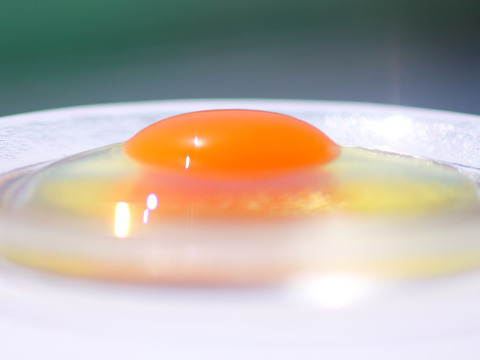 阿波　放し飼い有精卵「池田なません」10個