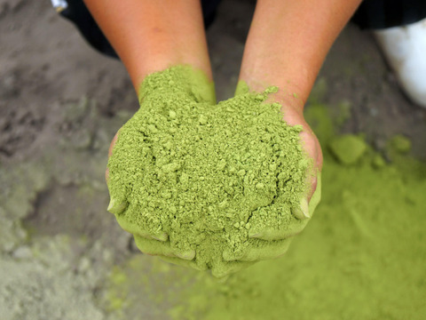 たった1日で850個の完売実績！！　山城のねぎた～っぷり♪　ねぎに恋するコロッケ♡　5個入