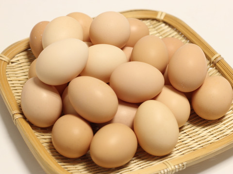 【大寒卵】★★★平飼いで育てた有精卵25個入り★★★
小振りながらも濃厚な土佐ジロー卵 　贈答やギフトにもおすすめ　仁淀ブルーの町いの町からお届け