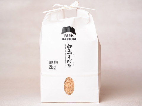 【令和7年米】もち米　もちひかり(2kg)