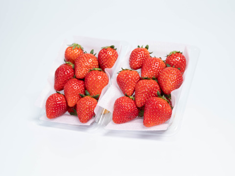 朝摘みフレッシュ！「とちおとめ」2パック