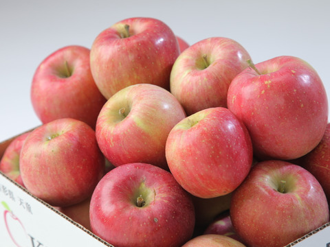 『訳ありリンゴ』サンふじりんご5kg