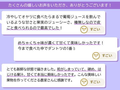 クール便指定【完熟訳あり！💜朝採れ山梨種無し巨峰】粒落ち、粒小など2.2キロ一箱でお届け！一度食べたら忘れられない果汁が弾ける巨峰 【生産量日本一の山梨県産】