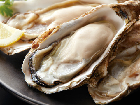 【ご自宅がオイスターバーに！特殊加工で殺菌！】広島県産　生食用　冷凍殻付きかき　約60-80g×20個