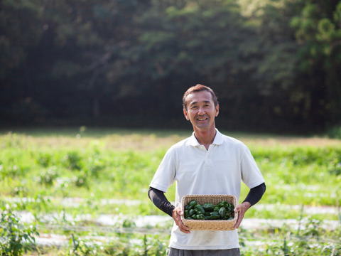 【淡路島産】夏ギフト_新鮮夏野菜をお届け！6~7種詰め合わせ(送料込）