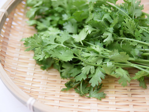 【セット商品　イタリアン＆ハーブ三昧！】
バジル２種各５０ｇ ＆ 新鮮トマト1kg ＆ イタリアンパセル ＆ パクチー　計合計1200ｇ