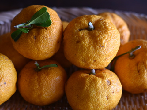 【新発売】自然栽培の完熟柚子胡椒