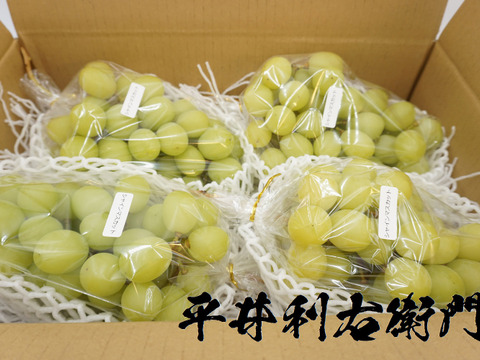 商品代＆送料がお得な商品！！【総重量5kg以上！】平井利右衛門の青ぶどう(シャインマスカット/8房)