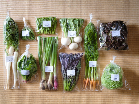 野菜ボックス(8〜10品)