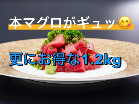 【訳アリ】鮪の旨味たっぷり!みやび本鮪赤身切り落とし 1.2kg(不揃い柵4本~7本:約12人前)※600gよりお値打ち!