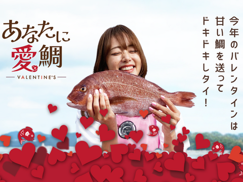 【バレンタインに♪】甘味と旨味のハーモニー♪ 南伊勢ブランド真鯛を送ろう！＜３枚おろし・食べ比べ！＞